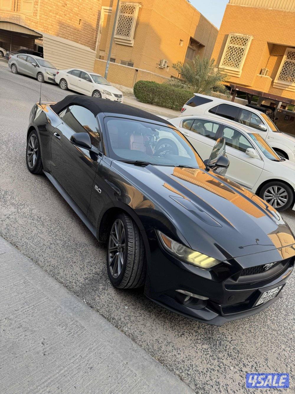 موستنج جي تي كشف 8سلندر تماتيك بحاله ممتازه ممشى قليل وارد وكاله1