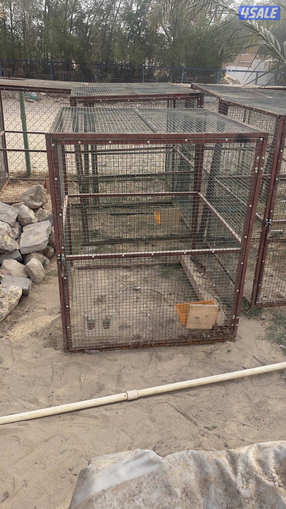 للبيع خانات دجاج0