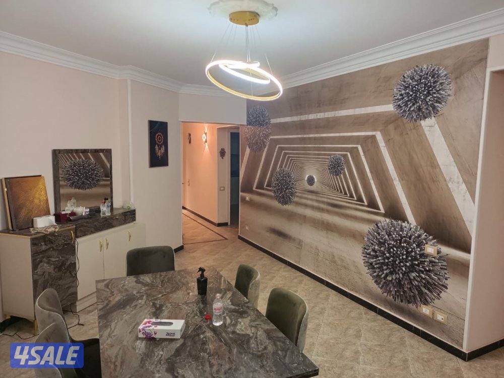 فرصه ذهبيه 💥💥💥 للبيع  او للإيجار الطويل شقه مطله ع النيل مقابل المنيل5