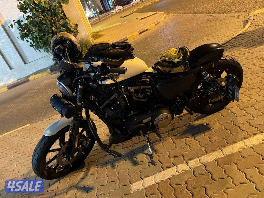 Iconic Harley Davidson Iron 8830