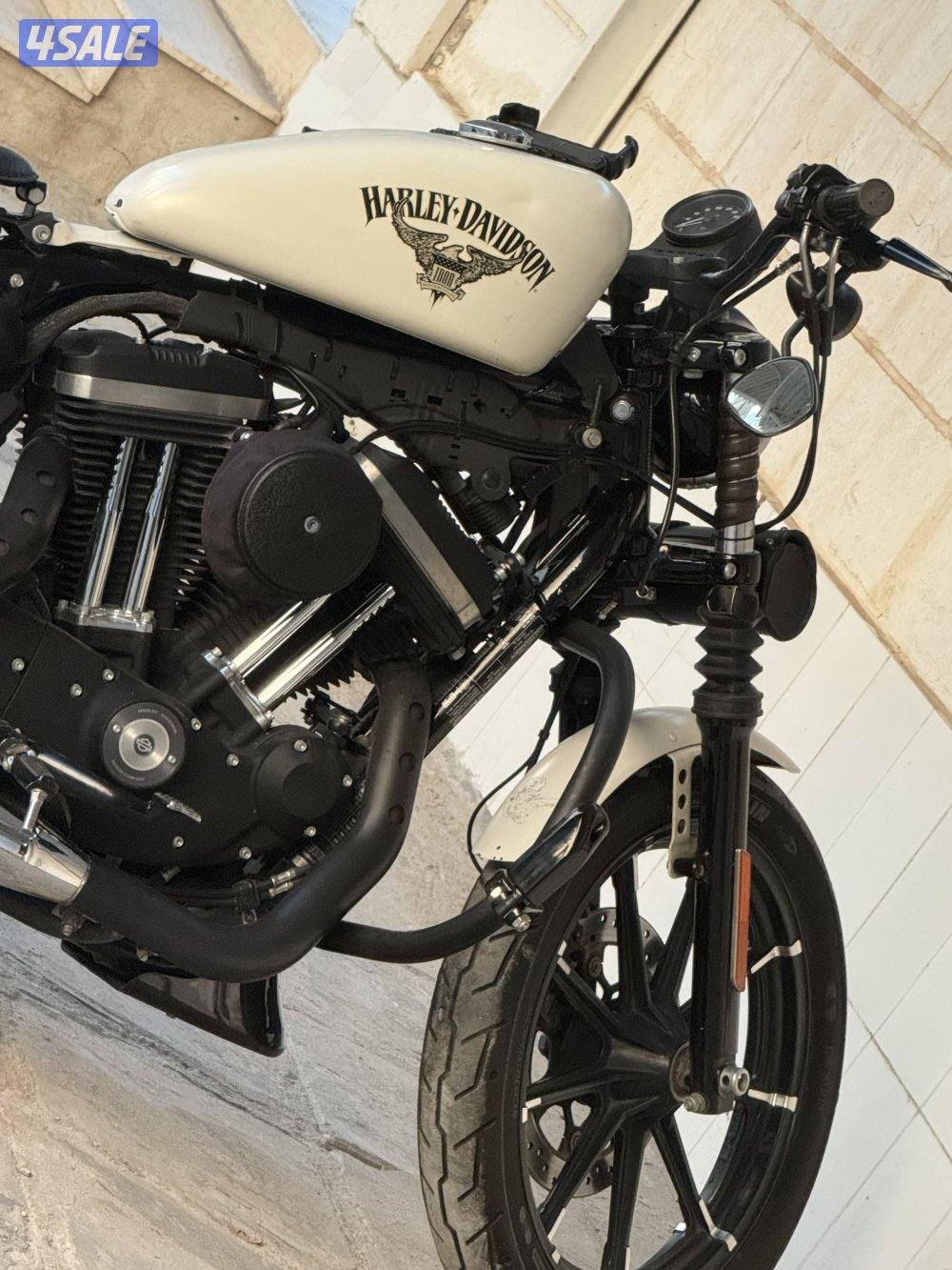 Iconic Harley Davidson Iron 8832