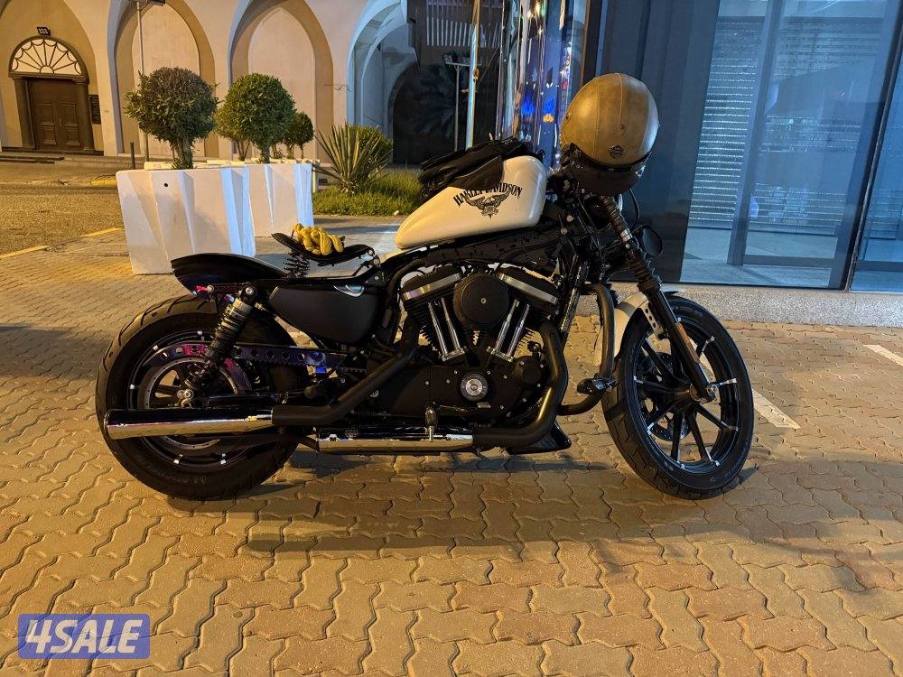 Iconic Harley Davidson Iron 8834