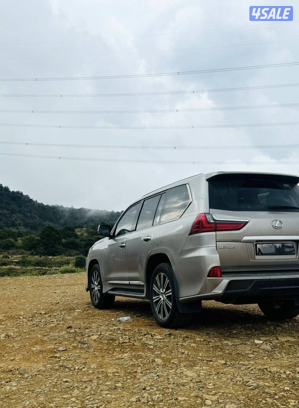 صبغ الوكالة وارد الساير1