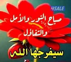 للايجار شقه بفهد الاحمد ٣غرف صاله ٢حمام ومطبخ غ خ سيراميك سنترال مصعد0