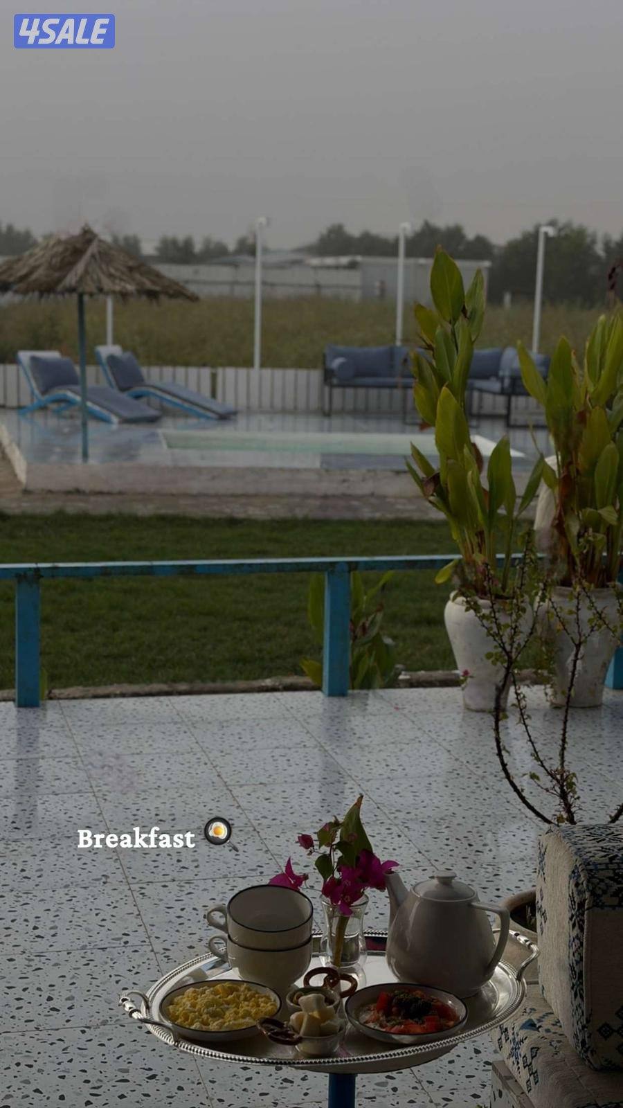 مزرعة بلو دار للايجار10