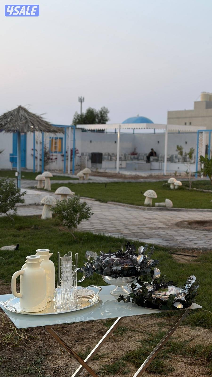 مزرعة بلو دار للايجار13