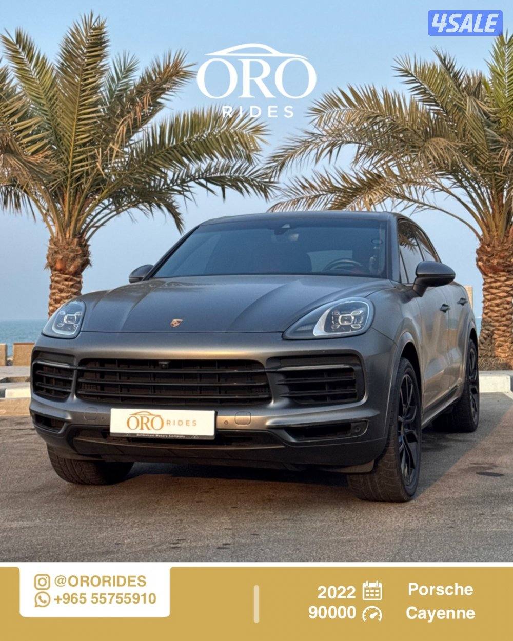 Porsche Cayenne0