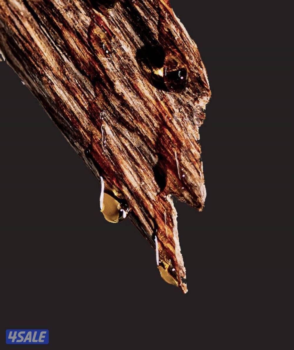 للإيجار من المالك مباشرة0