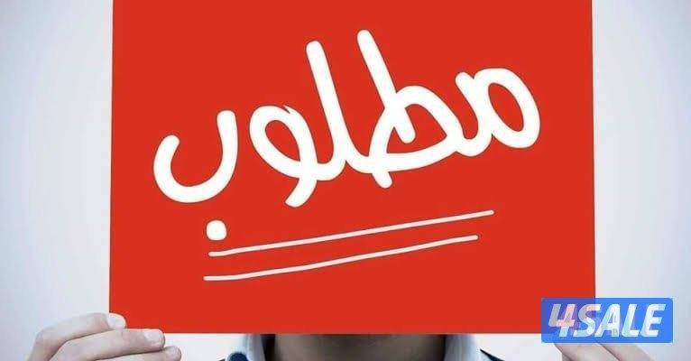 مطلوب اراضى للشراء بامارة عجمان باعلى سعر تخليص فورى0