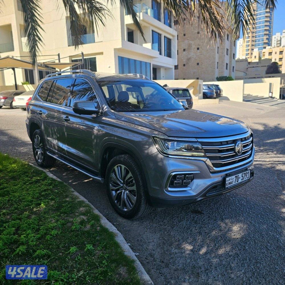 MG RX8 2022 صبغ الوكالة2