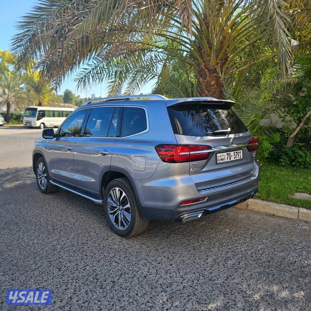 MG RX8 2022 صبغ الوكالة4