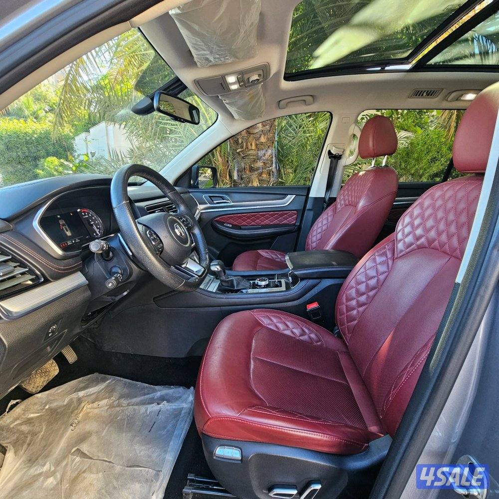 MG RX8 2022 صبغ الوكالة7