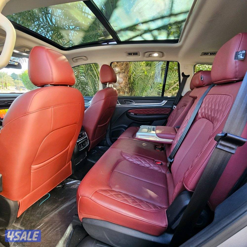 MG RX8 2022 صبغ الوكالة8