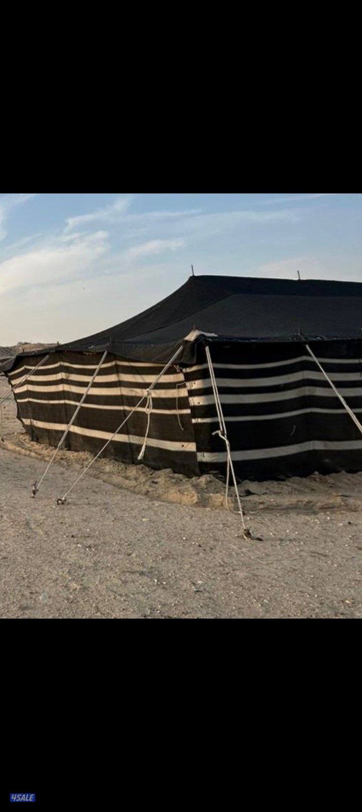 بيت شعر ملكي1