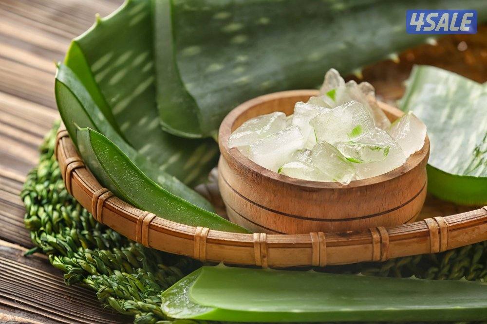 Salon services only for ladies0