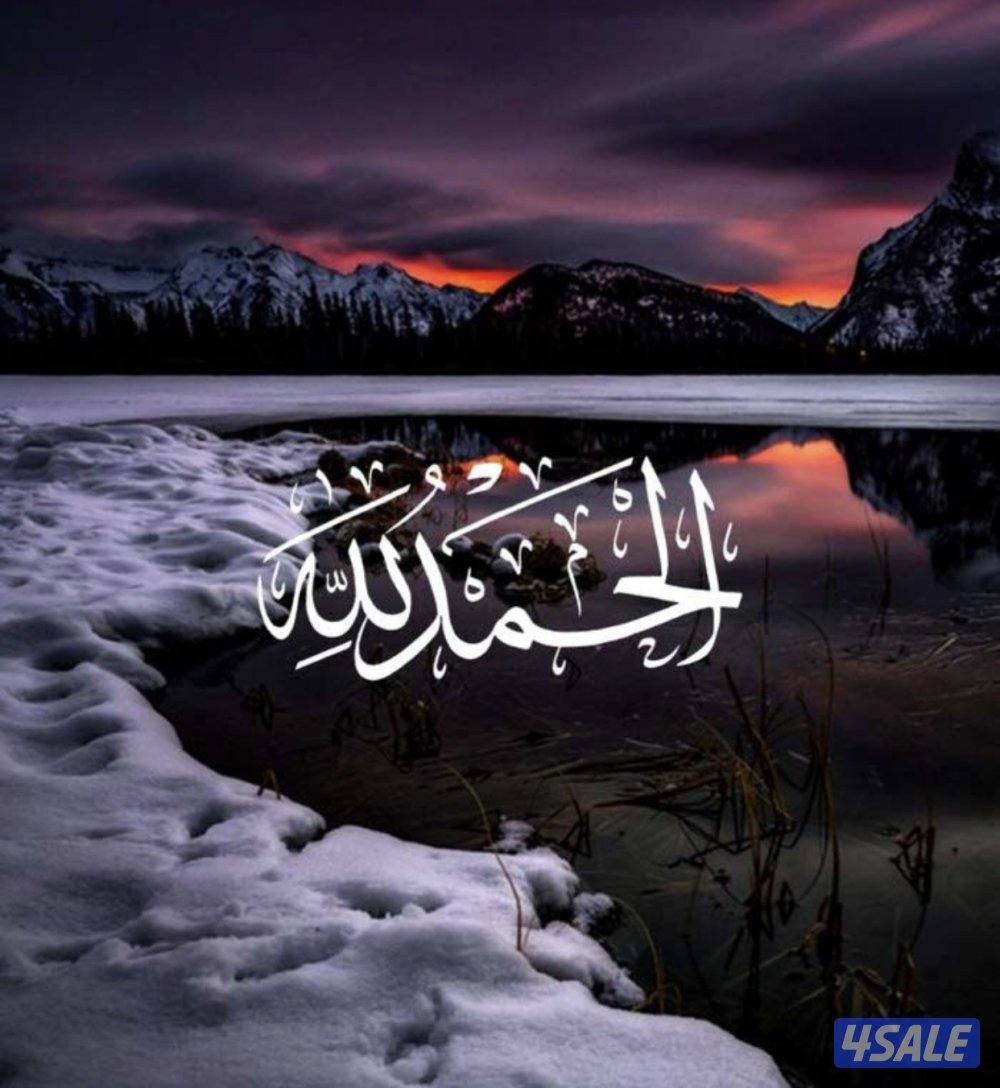 ابحث عن عمل حارس بنايه او قسيمة خبره في عقار ومعاي رخصة0