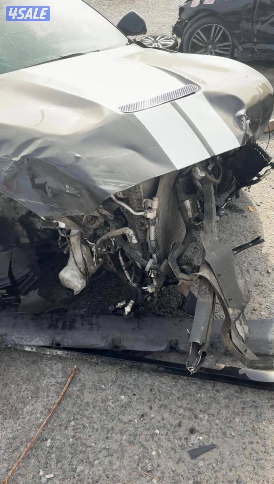 للبيع شلبي ٣٥٠4