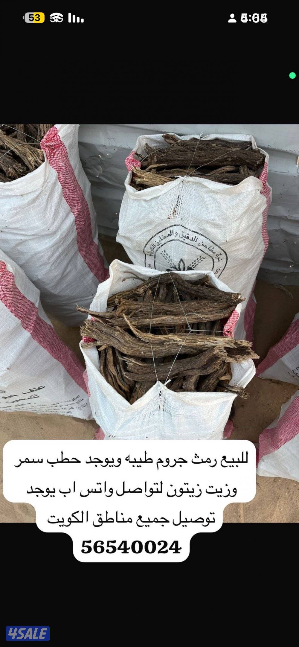 للبيع رمث جروم طيبه وحطب سمر وزيت زيتون0