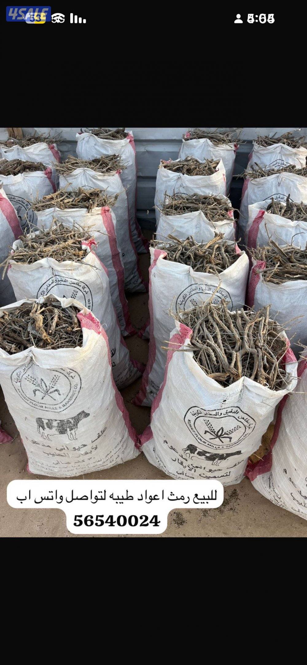 للبيع رمث جروم طيبه وحطب سمر وزيت زيتون1