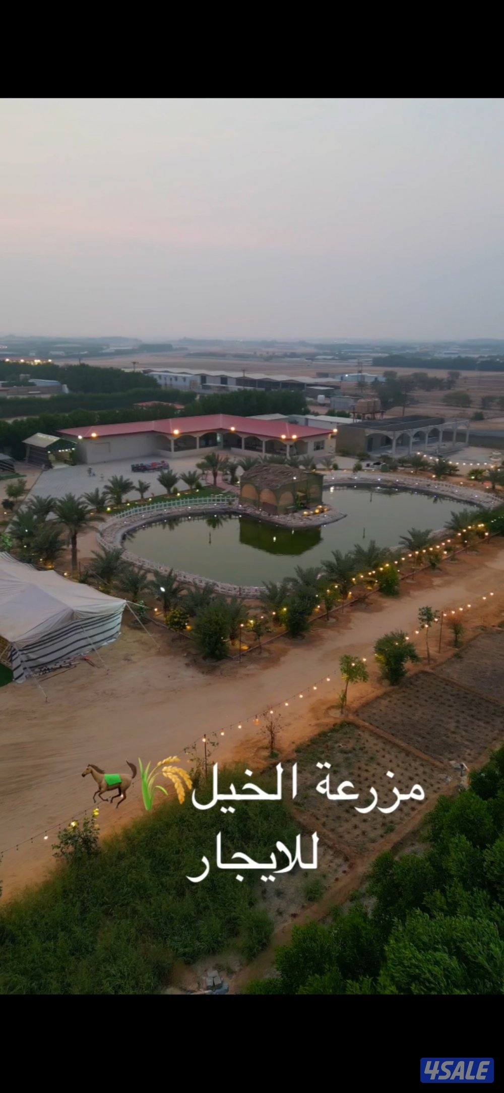 🌾 مـزرعـة الـخـيـل 🐎 VIP0