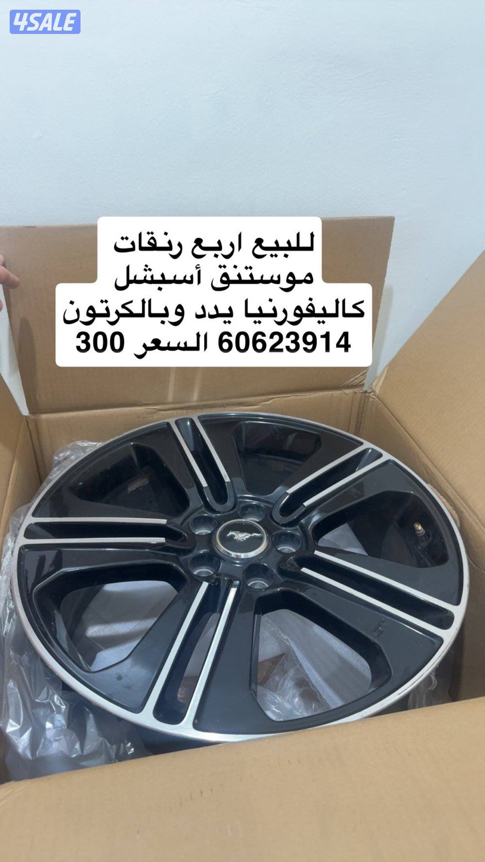 رنقات موستنق0