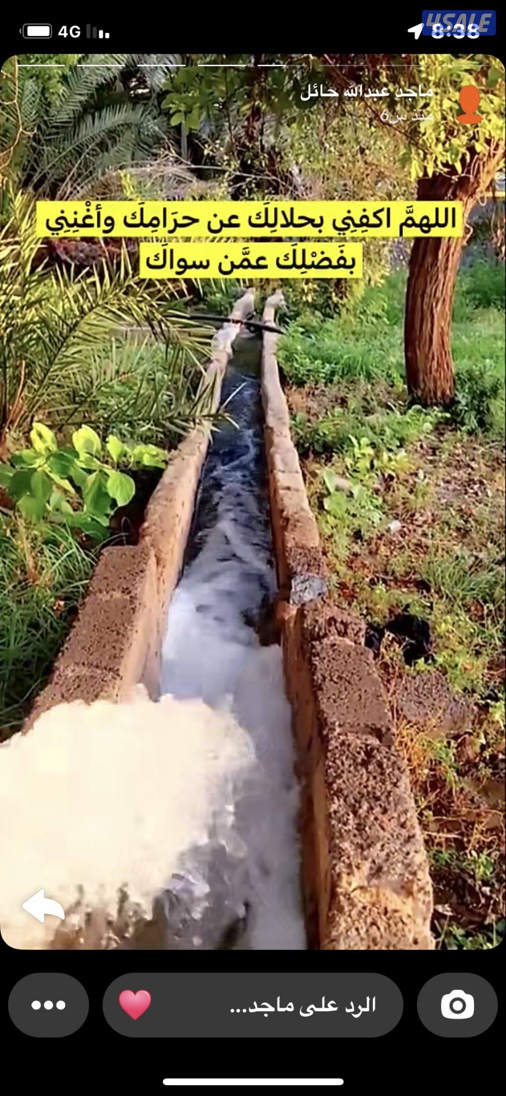 استيراد وتصدير ووكيل بالعمولة ونقل البظائع رخصة عديمة 19910