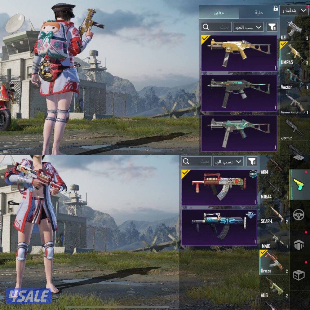 حسابات ببجي منوعه ~ سكنات وبسعر رخيص🎽🦁3