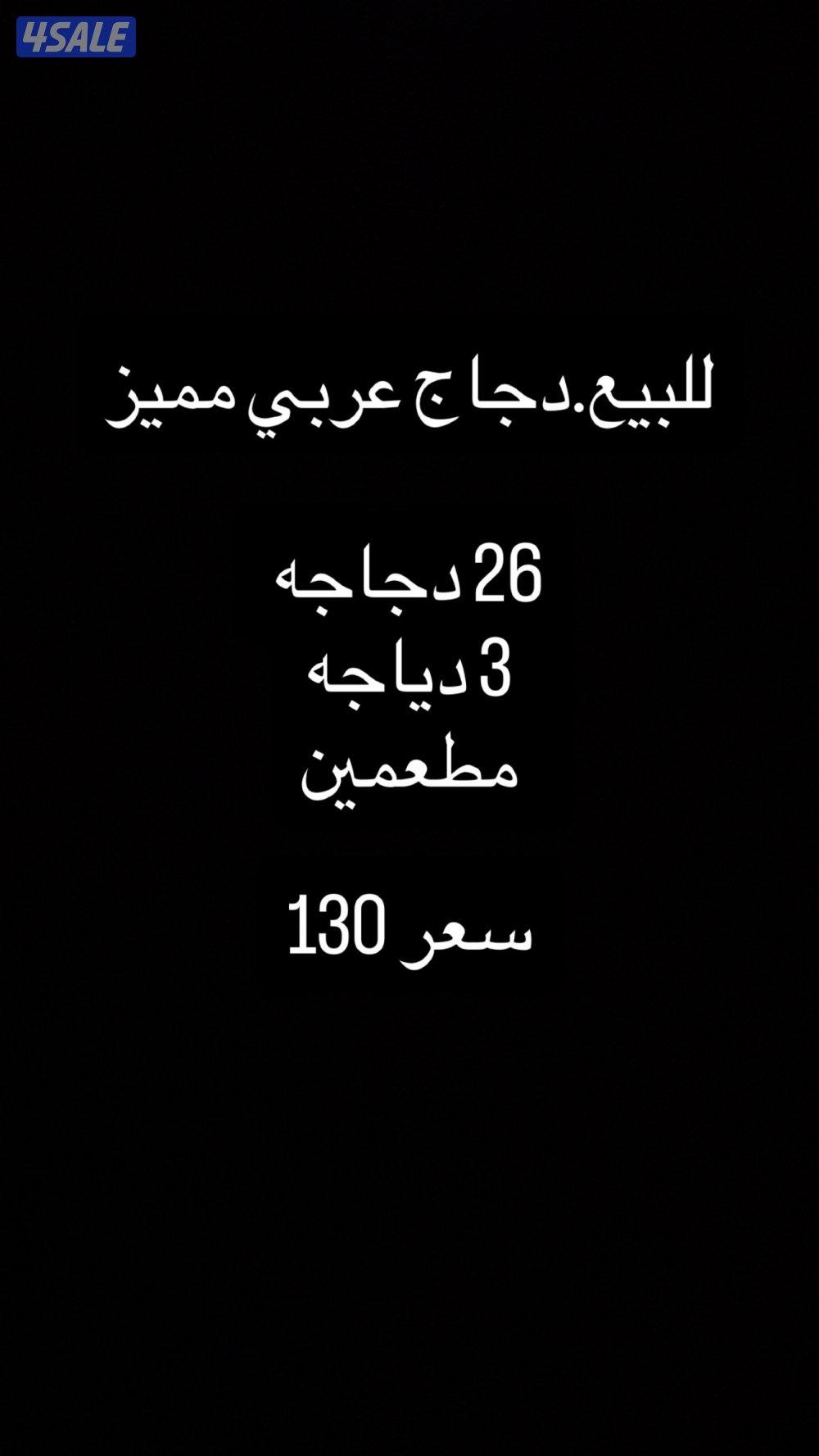 للبيع دجاج عربي مميز من حلالي7