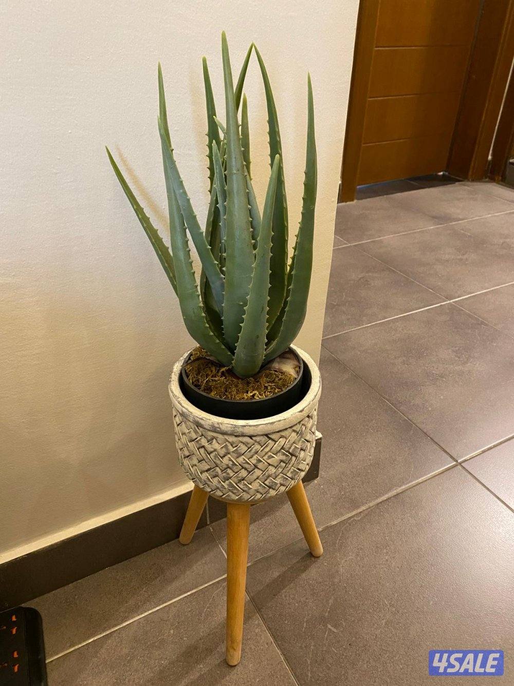 mirror clock + picture + plant2