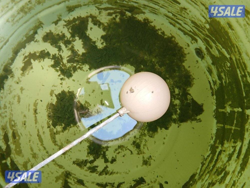 تصليح وتغسيل جميع التوانكي بأسعار باقل الاسعار  خدمه ٢٤ساعه4