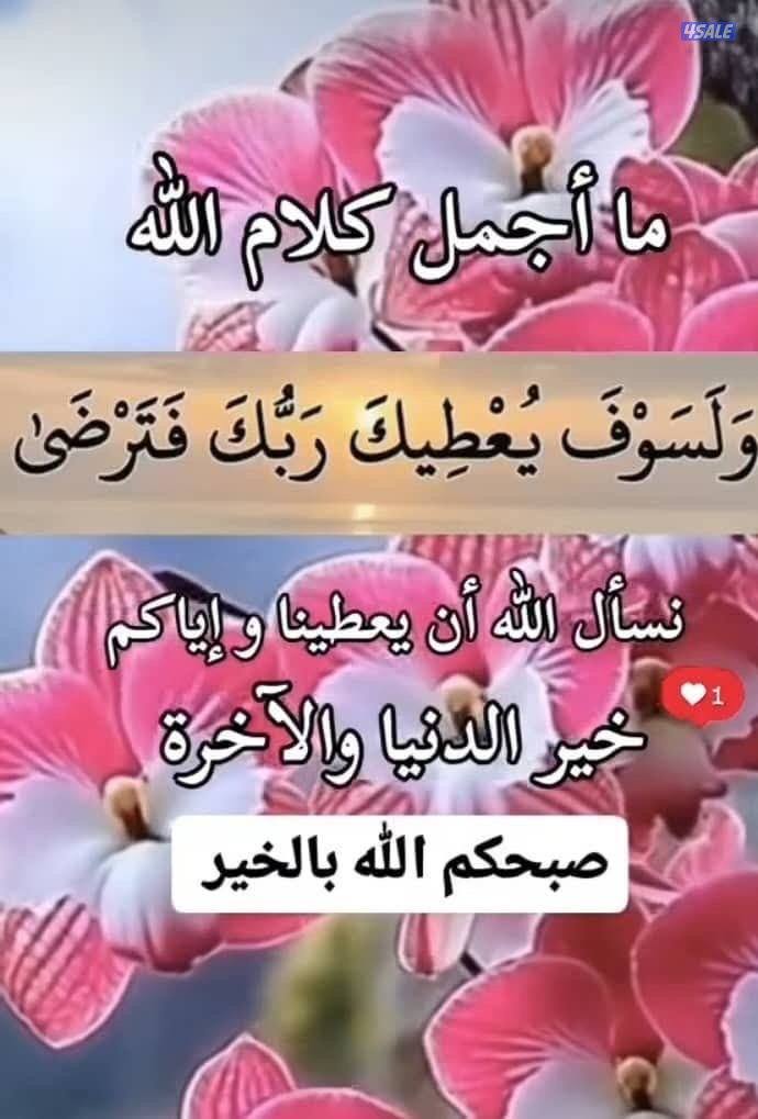 الصباحيه / فهد الاحمد / ام الهيمان0