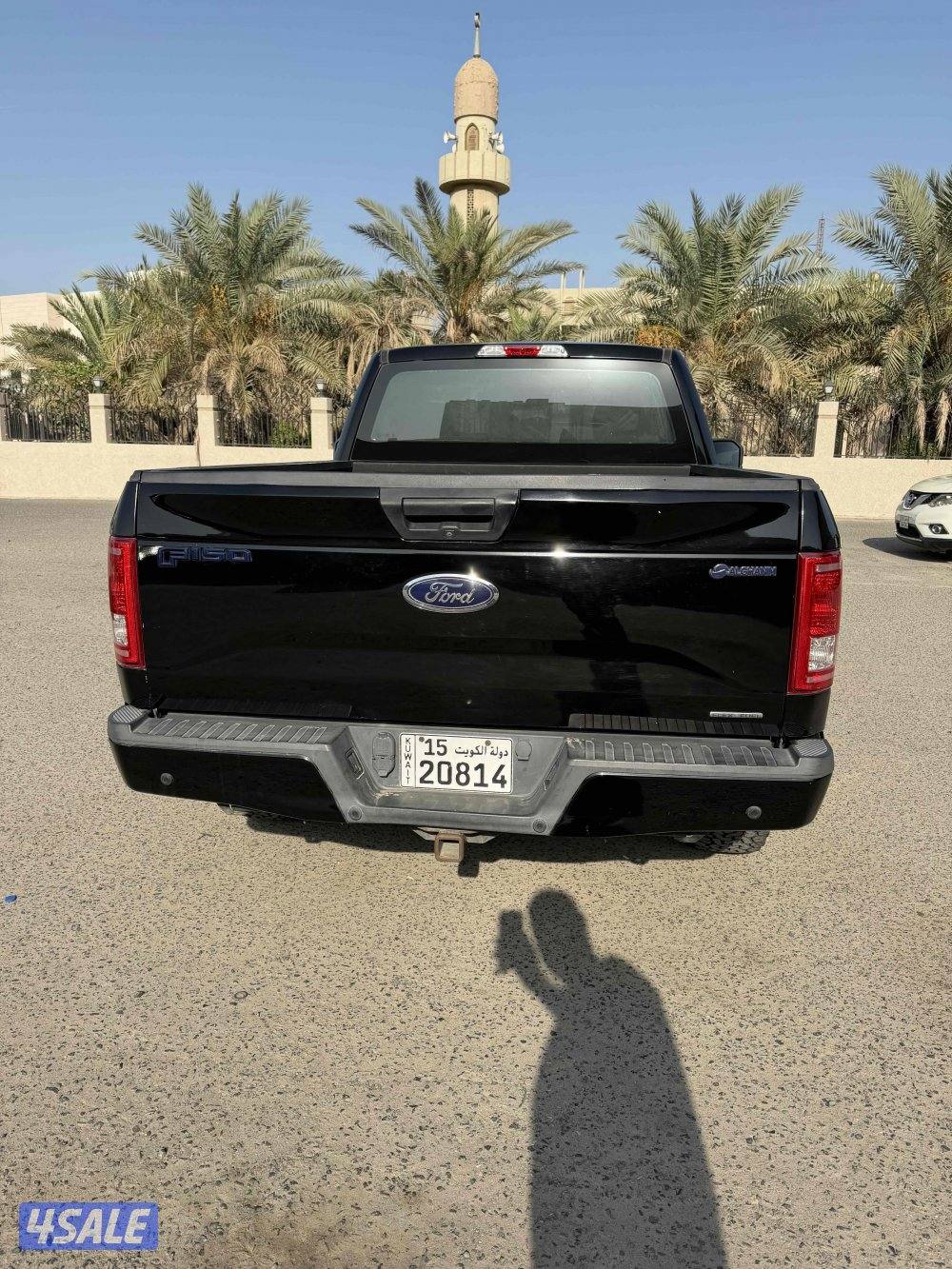 وانيت فورد F1507