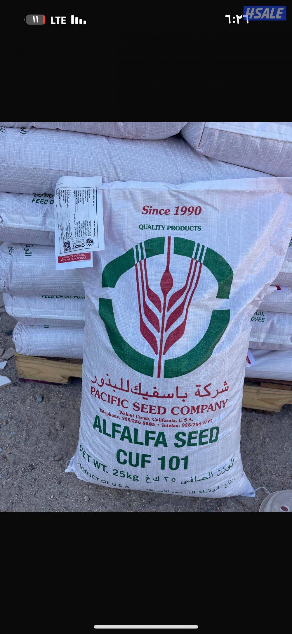 بذور برسيم باسفيك ارخص سعر0