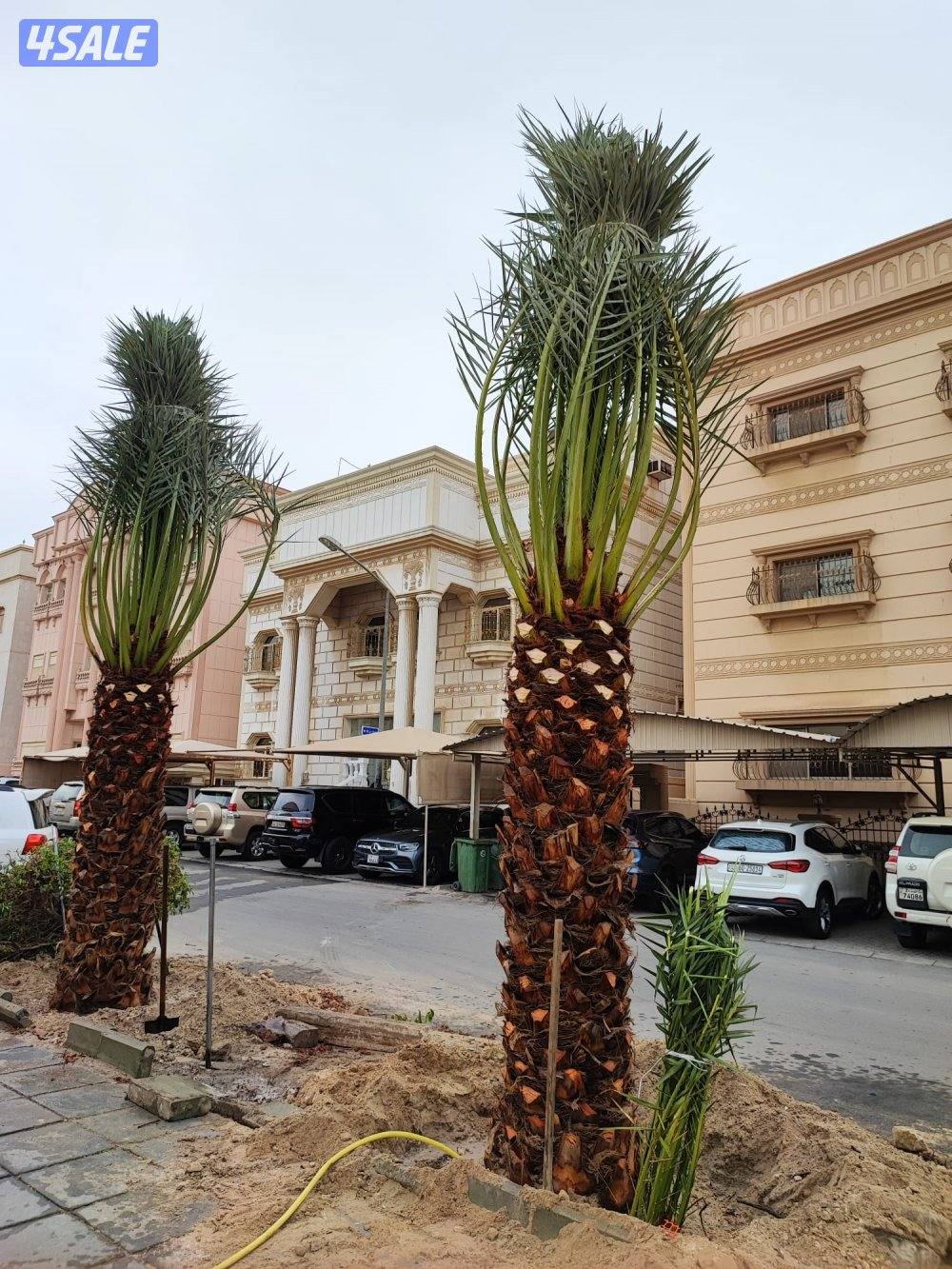 تنسيق حدائق تركيب تيل صناعي وطبيعي سور تركي تركيب بلاط وكربستون زراعة5