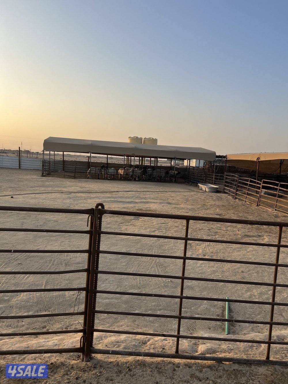 للبيع عزبه على طريق كبد مقابل الاذاعه1