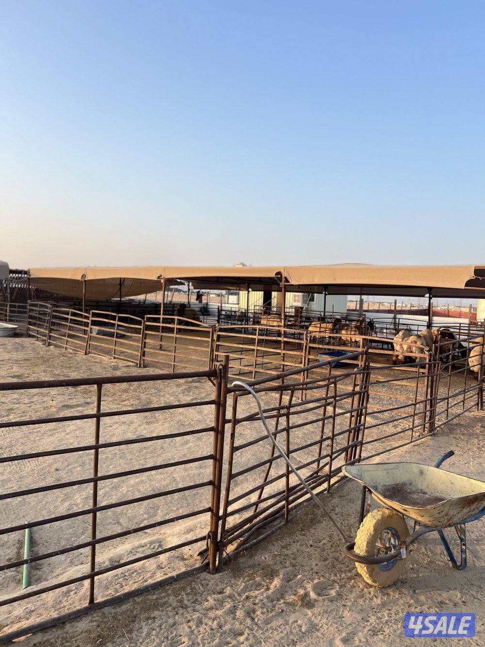 للبيع عزبه على طريق كبد مقابل الاذاعه4