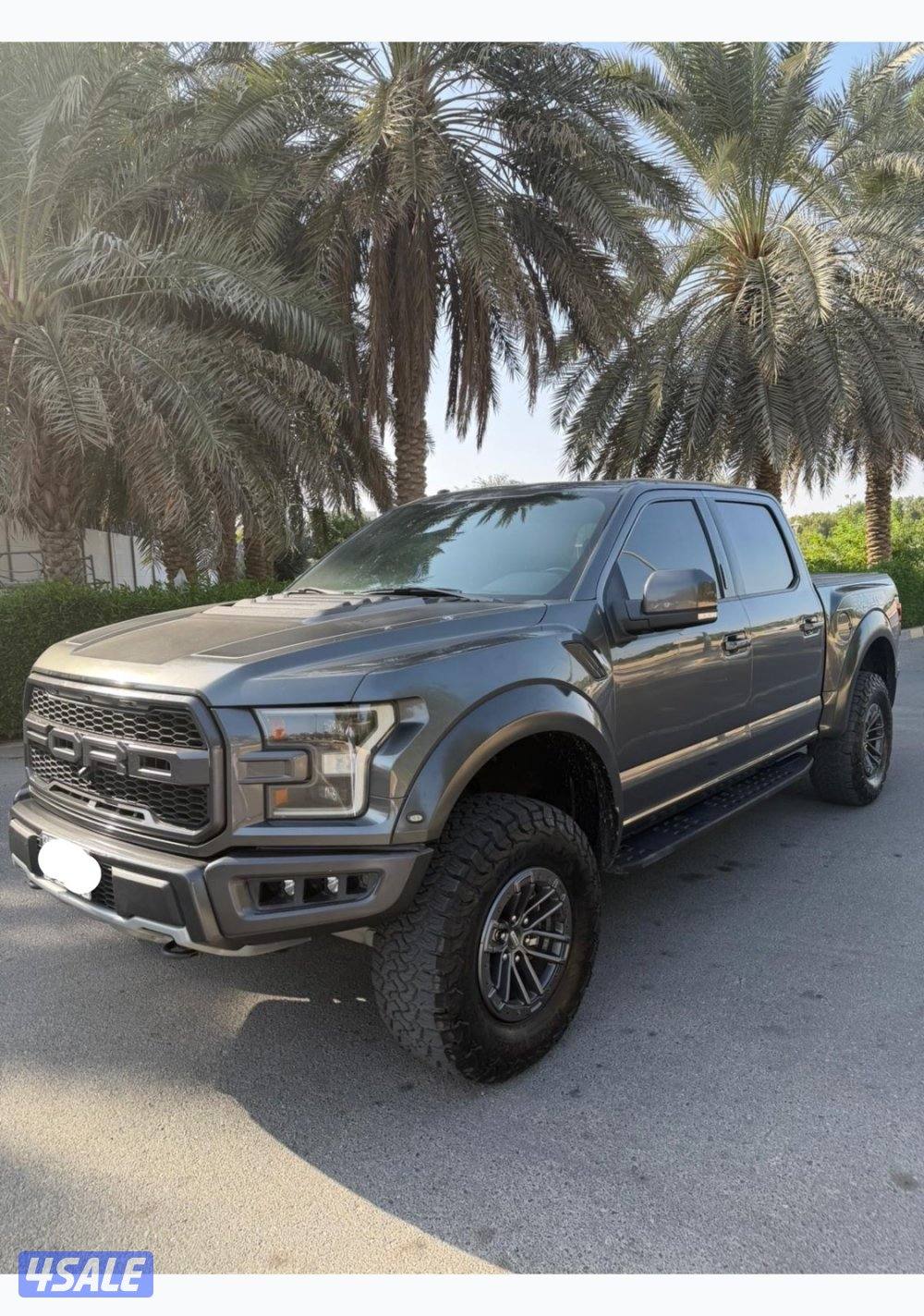 للبيع رابتر - صبغ وكاله - عداد ١٢٩1