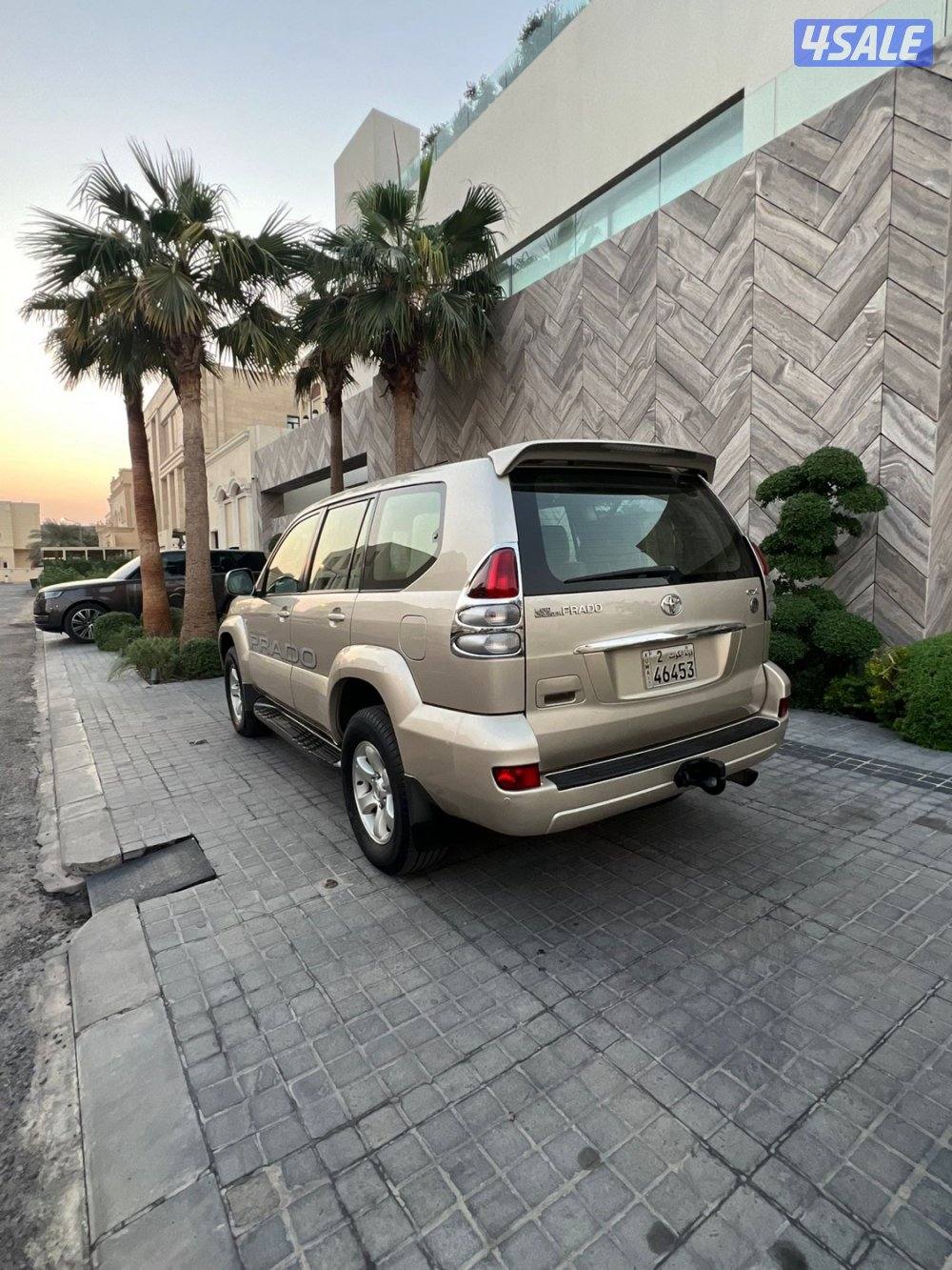 صبغ الوكالة2