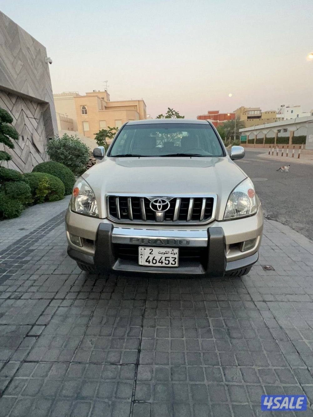 صبغ الوكالة3