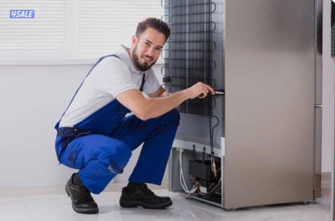 Refrigerator freezer0