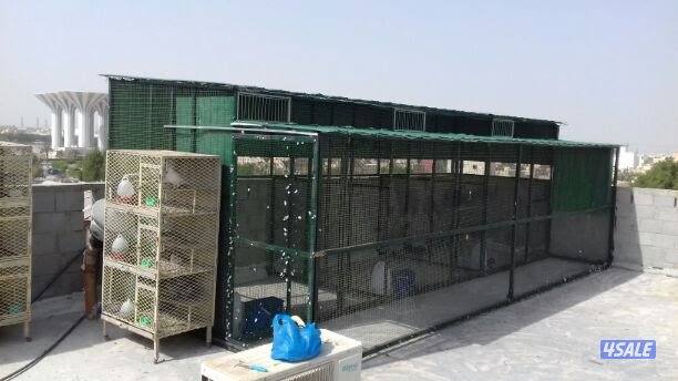 حداد مضلات خام كربى خشبى غرف نوم مخزن سور15