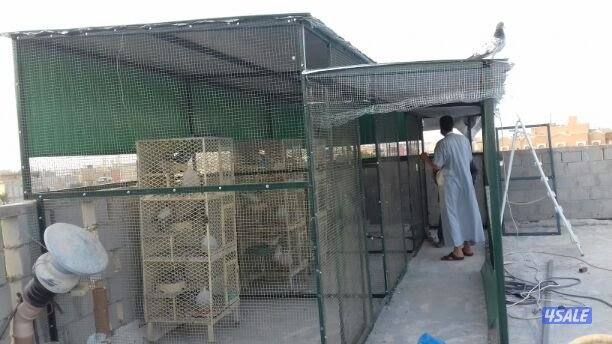 حداد مضلات خام كربى خشبى غرف نوم مخزن سور8