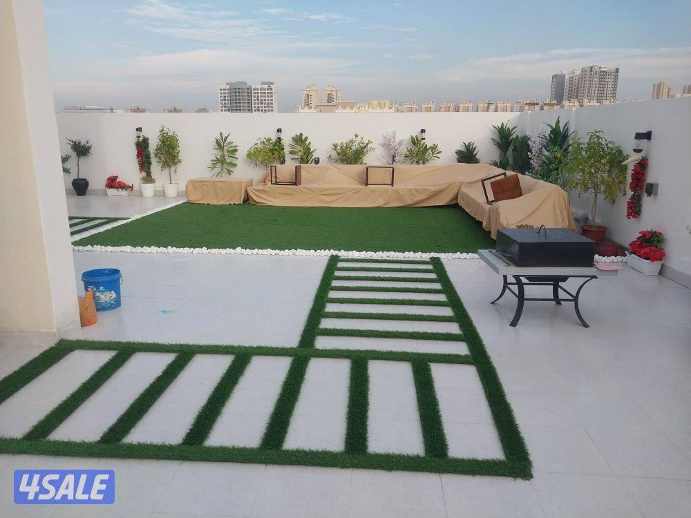 تنسيق الحدائق ابو مالك2