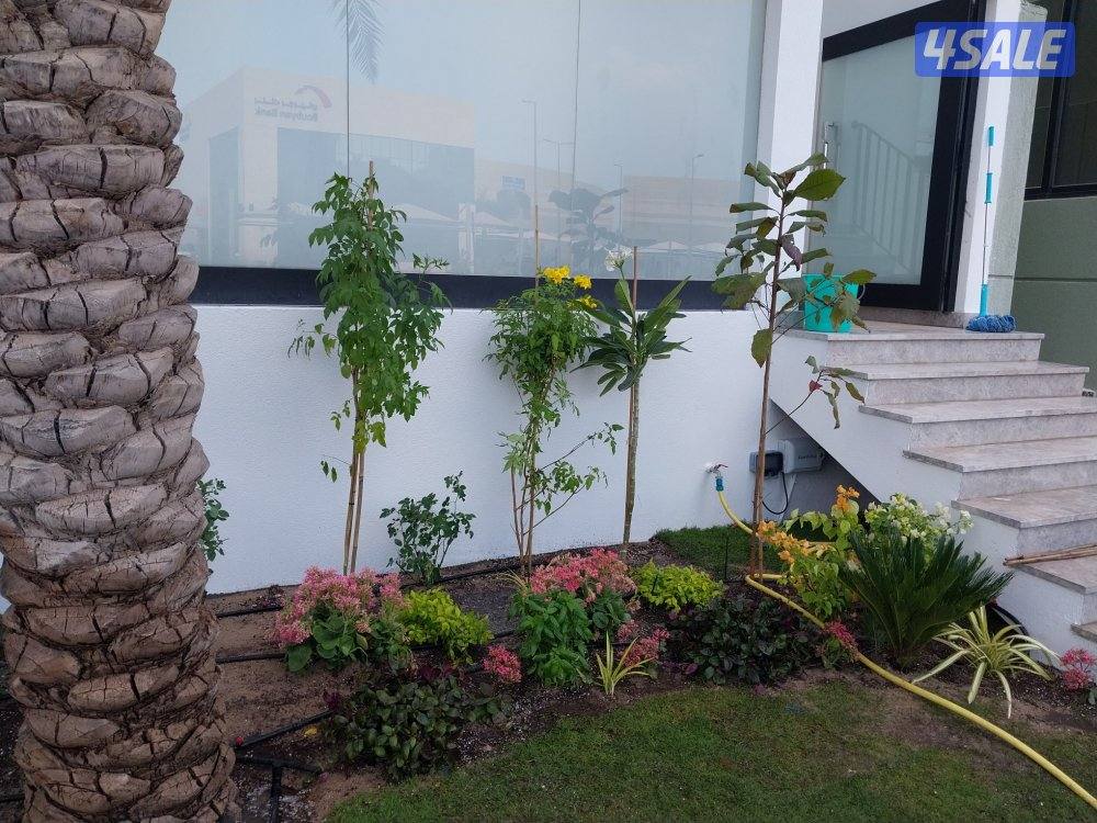 تنسيق الحدائق ابو مالك8