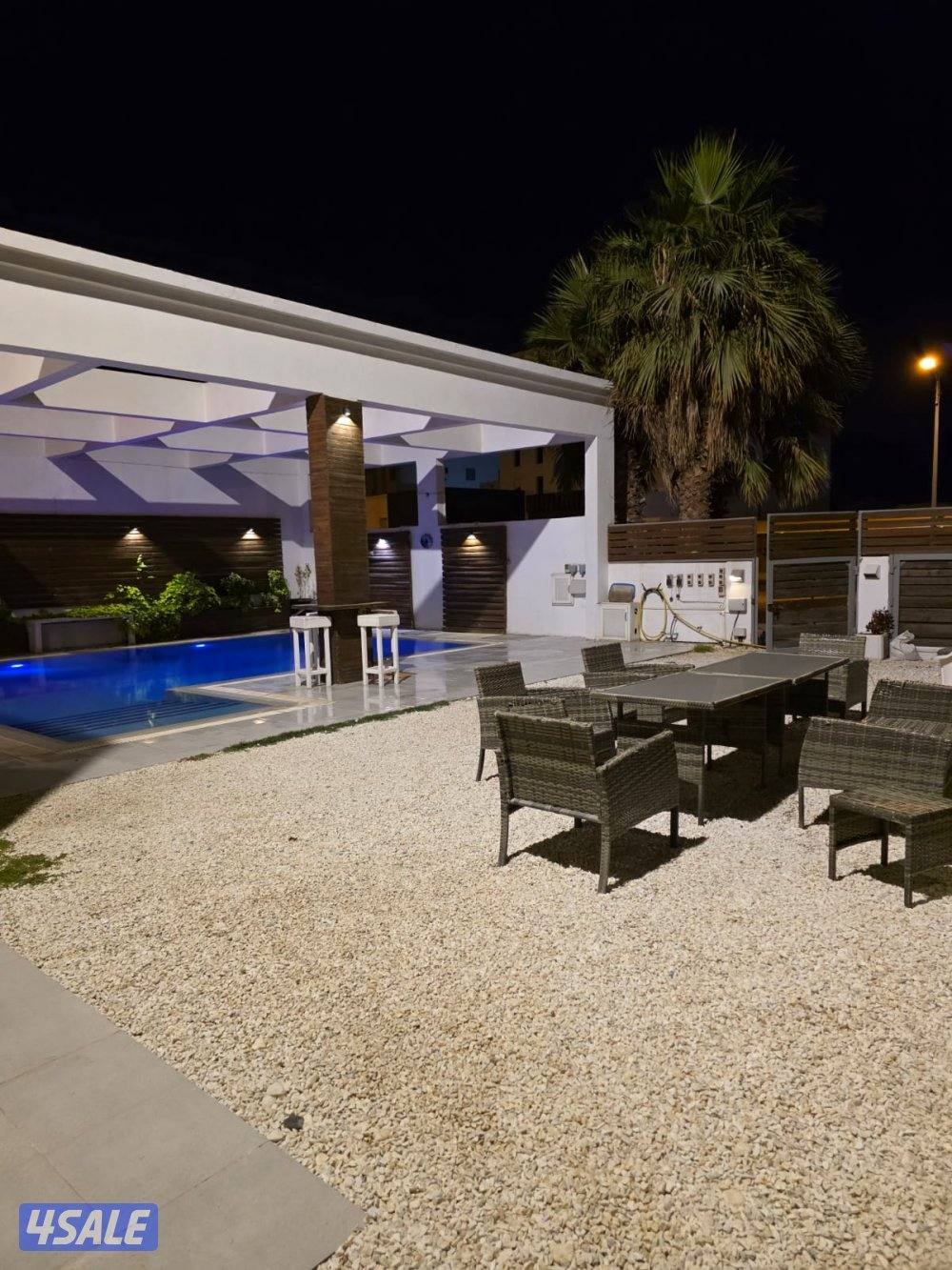 لا يوجد  سنوي1