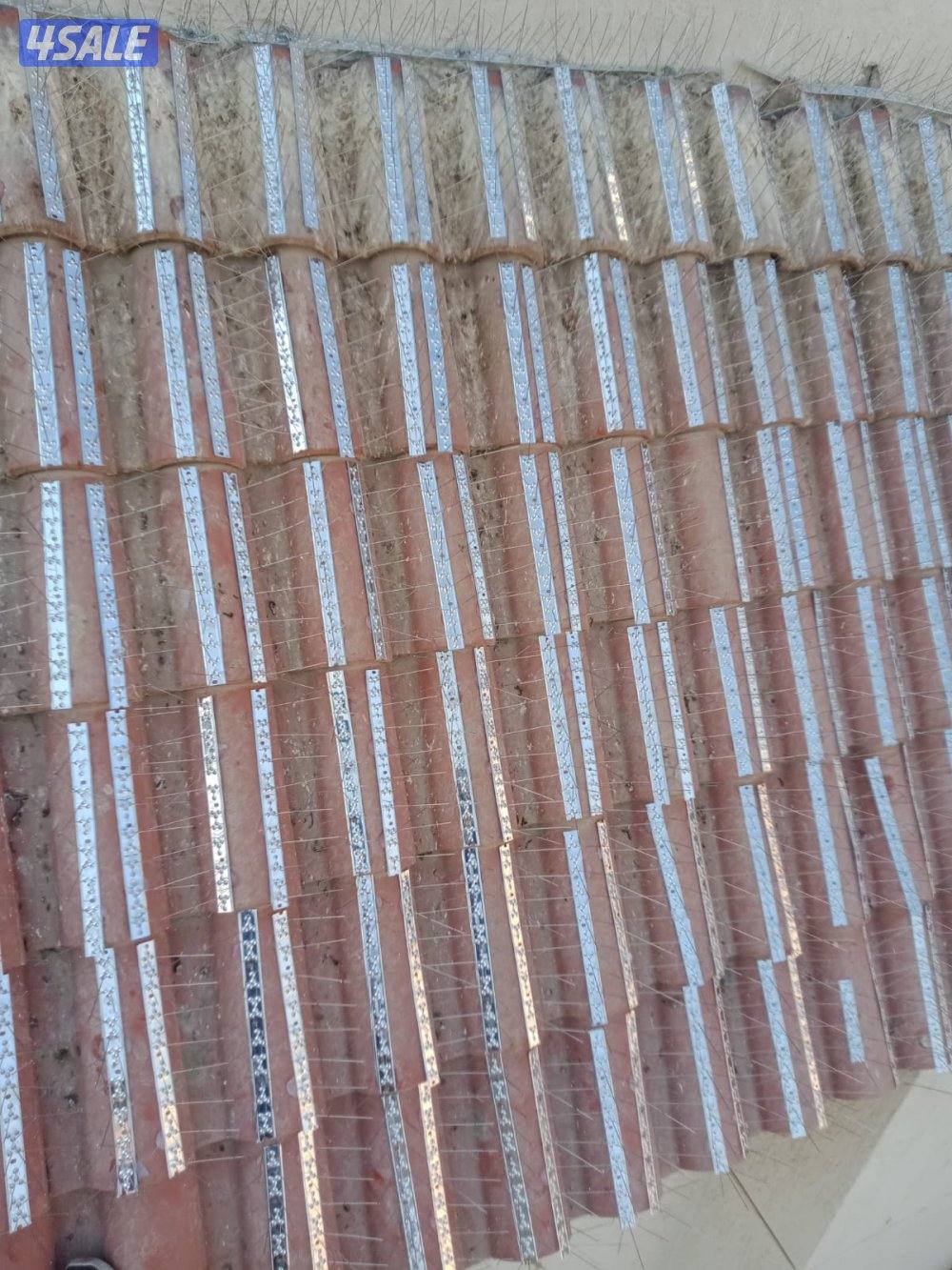 مكافحه حشرات تركيب أسلاك مانع للحمام والطييور .مقاومة للصدا.افضل خدمه3