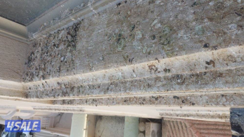 مكافحه حشرات تركيب أسلاك مانع للحمام والطييور .مقاومة للصدا.افضل خدمه6