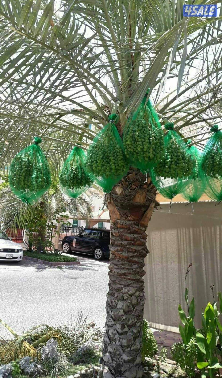 . ابو احمد لتنسيق الحدايق12