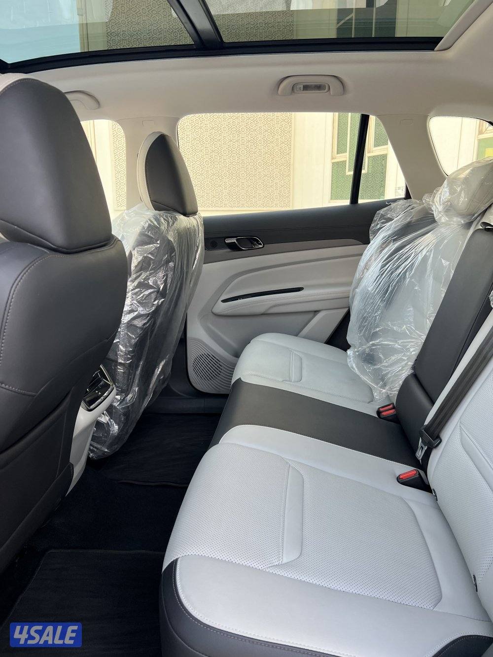 تيريتوري فئة الترند 20256