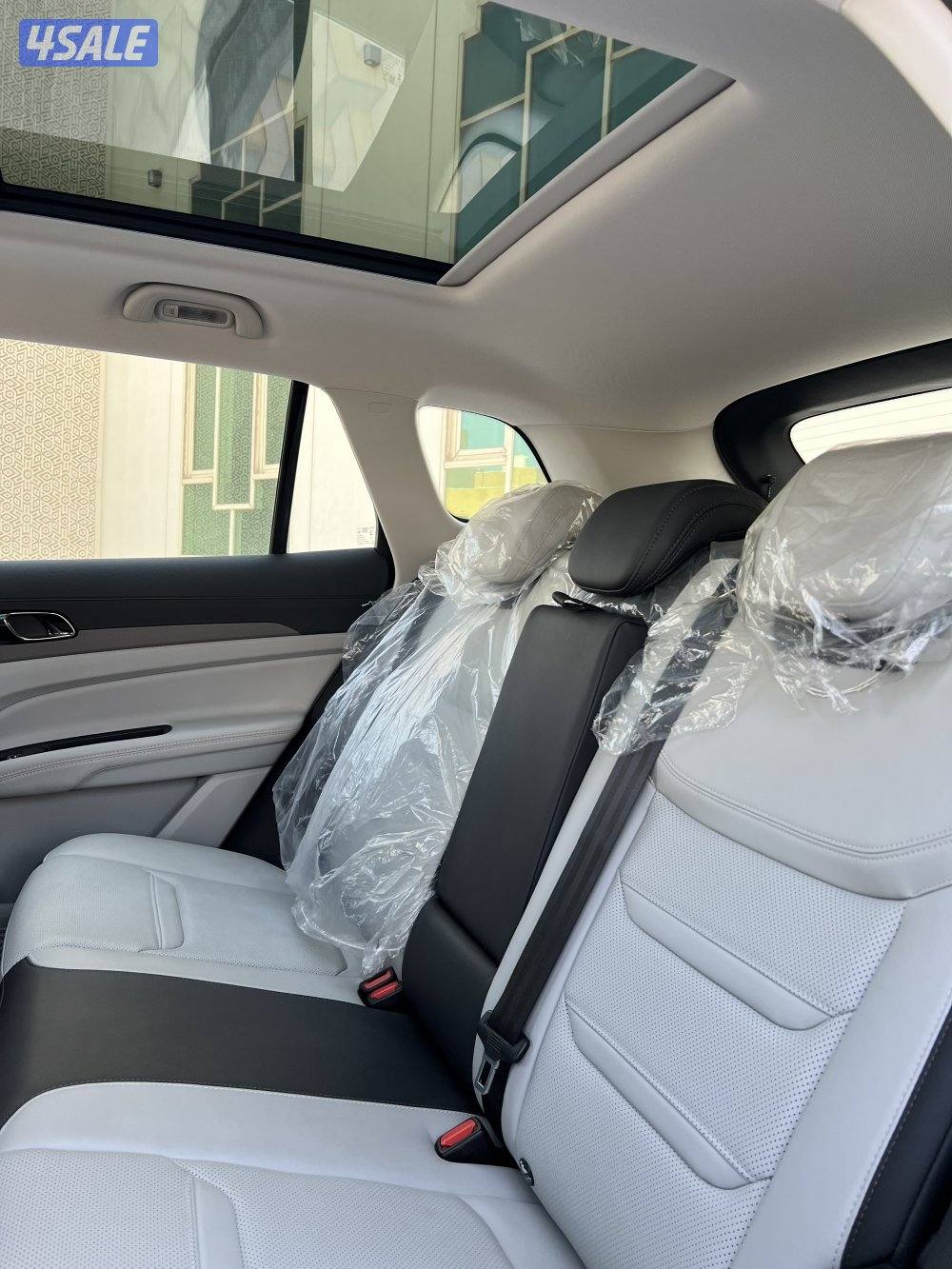 تيريتوري فئة الترند 20257